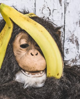 p-Wert: Affenbanner und Bananenverkauf