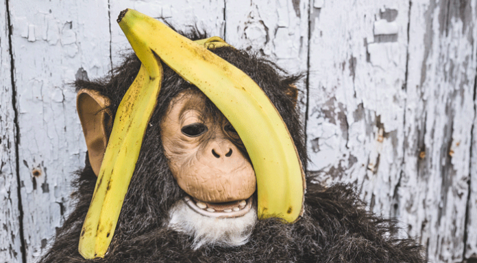p-Wert: Affenbanner und Bananenverkauf